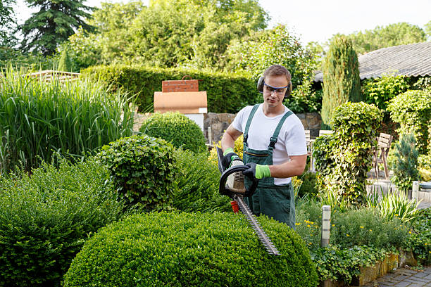 Best Weed Control  in Oakland, CA